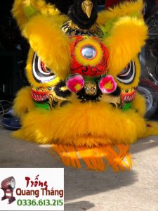Bjib2598