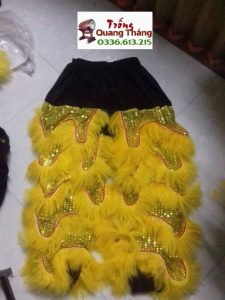 Gaup5345
